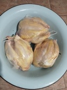 Biały Kur brojler EKO mięso 