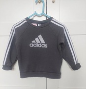 Bluza adidas szara roz. 92