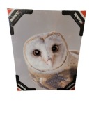 Obraz Sowa 40x50cm