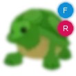 Turtle Adopt Me AM
