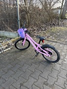 Rower PUKY LS-PRO 18LTD Pink Edition 6kg!