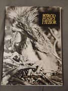 Wśród pusz i jezior Sport i Turystyka Zdzisław Wdowiński 1955