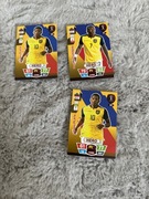 karty FIFA world cup qatar2022 ekwador