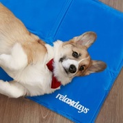 Mata chłodząca żelowa dlapsa 40x50cm legowisko Relaxdays