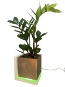 Doniczka Lampka Osłonka Podświetlana LED 12 cm Pilot USB Złota Biała