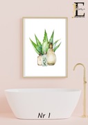 plakat a4, obrazek do łazienki, grafika, aloes, kosmetyki, czarno-biały