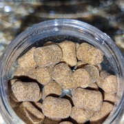 Feeder bait oszust 8mm