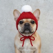 Ręcznie robiona czerwona/mikołajkowa  czapeczka dla psa z pomponem