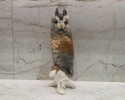 Figura Karl ENS ___ Figurka Sowa