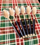 Komplet 6 łyżek stołowych Paul Wirths