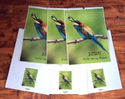 Autorski Kalendarz 2025 Ptaki A3 12 kart