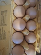 Jajka od kur z wolnego wybiegu. 