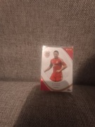 Topps fc Bayern Monachium 125 anniversary2024/2025 Claudio pizzaro /99