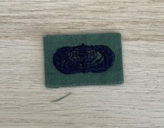 Naszywka - USAF - Basic Services Badge (Enlisted) (OD Subdued)