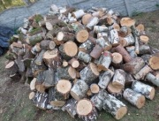 Drzewo kominek Brzoza dąb cięte łupane 