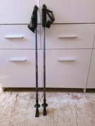 Kijki do Nordic Walking