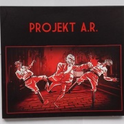 Projekt A.R. (Aleksy Rżewski) DVD Film + teledysk PSYCHOCUKIER