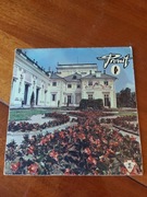 Winyl Pronit Valdier-Pilchowska