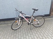 Rower Kross Lea 1.0 MTB Woman 17" 26" Biały