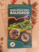 Nadleśnictwo Baligród mapa 