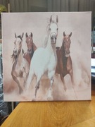Konie obraz druk na płótnie 