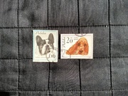 Znaczki pocztowe, tematyczne, Polska, Rasy psów