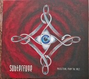 SUBTERFUGE projections from the past