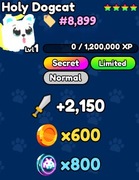 Holy Dogcat | Pet Catchers