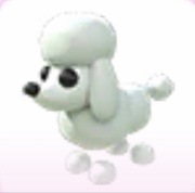2x Poodle - Adopt Me Roblox