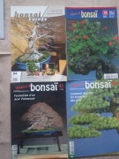 BONSAI  EUROPE TODAY  PLUS INNE  4 SZT