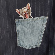 Szmacianka z kotem-ekotorba zakupowa z jeansu-zapinana na zamek-rękodzieło