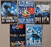 Vlepki RUCH Chorzów, ARKA Gdynia, WISŁA, Cracovia, Lech # 04