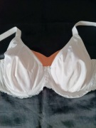 ST. BERNARD FOR DUNNES STORES ; MIĘKKI MINIMIZER ; NA FISZBINACH ; 40Dx90D