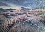 Puzzle Heye 1000el , Arrow Dynamic Edycja Alexander von Humboldt