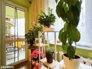 MIESZKANIE M3 W TORUNIU