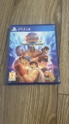 Street Fighter 30 Anniversary Collection PS4