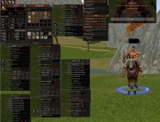 WOJOWNIK MENTAL 55LVL PROJEKT HARD