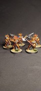 Warhammer Age of Sigmar - Stormcast Eternals Palad