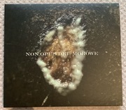 Non Opus Dei / Morowe - dziwki dwie