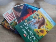 Zestaw książek obyczajowych / romans