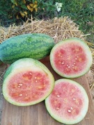 STRAWBERRY nasiona Arbuz Kolekcjonerski