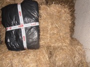 Wyściółka, słoma dla królika, pieska, kaczki, kury pod truskawki itp.