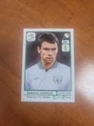 Seamus Coleman - naklejka Panini
