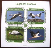 Fauna ptaki  bociany 2021 rok 