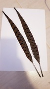 Ozdoba Kapelusza Myśliwskiego 2 pióra z ogona Bażanta naturalne 35cm