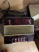 Mała harmonia galotta Sport 54