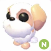 Shih Tzu N - Adopt Me Roblox