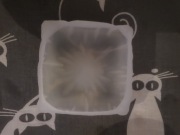 2xForma poduszeczki od Dinary Kasko