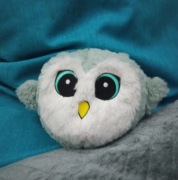 Gang Słodziaków z Biedronki Sowa Zosia