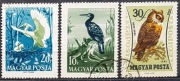 Węgry 1959 r. Fauna Ptaki